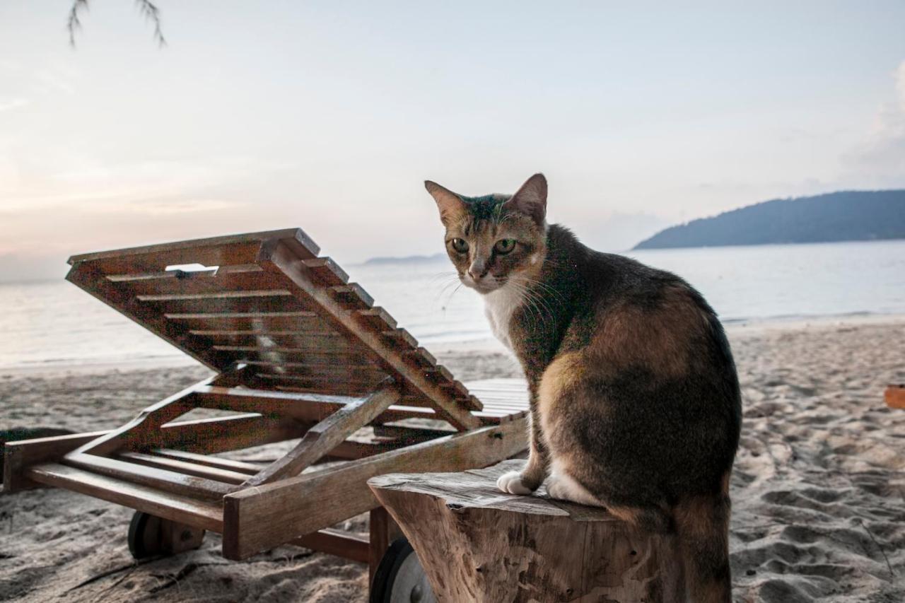 Swiss Cottage Tioman Kampong Ayer Batang 외부 사진